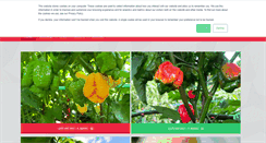 Desktop Screenshot of ljutomanija.com